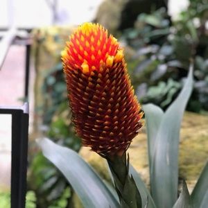 Meet your Posher, Vidya